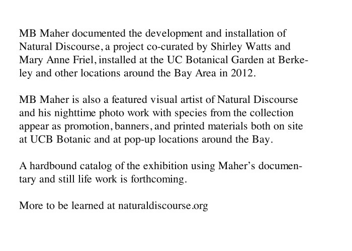 http://ns1.mbmaher.com/files/gimgs/th-4_natural.jpg